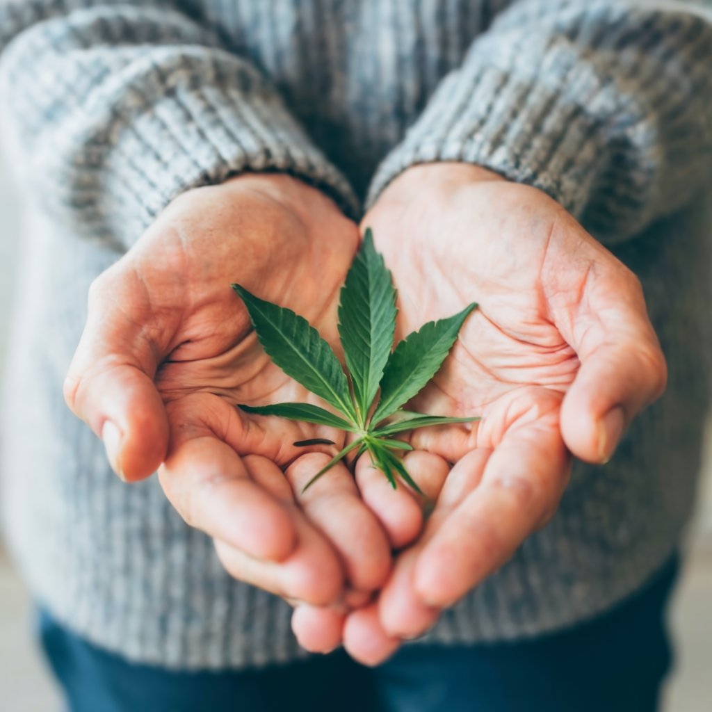 cbd foe seniors health
