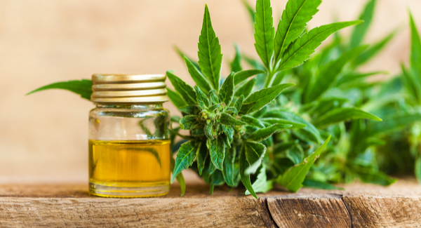 CBG for Arthritis Pain What You Should Know