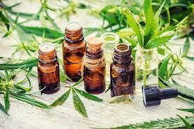 CBD Tolerance