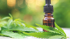 CBD Extraction