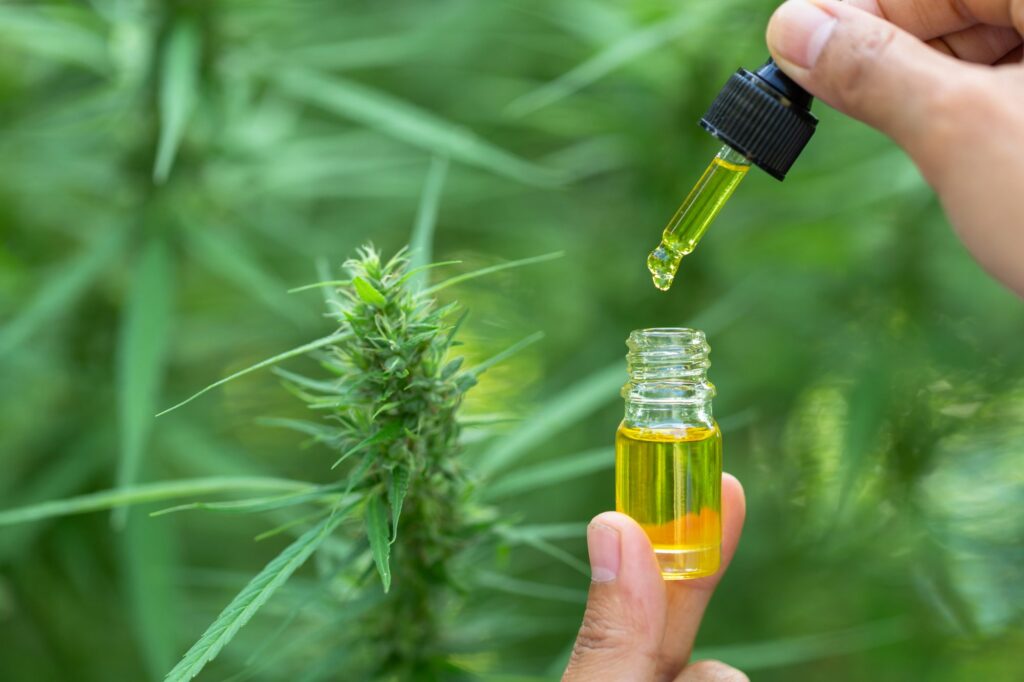 Understanding How CBD Oil Actually Works